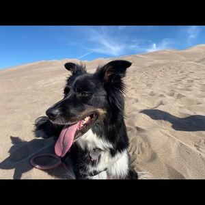 Meet your Posher, Lorena